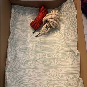 Ds Sb Dunks “BIG MONEY SAVINGS” Size 10 mens